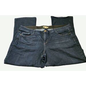 Women's Democracy Jeans 24W Ab Technology Flare Jeans EUC